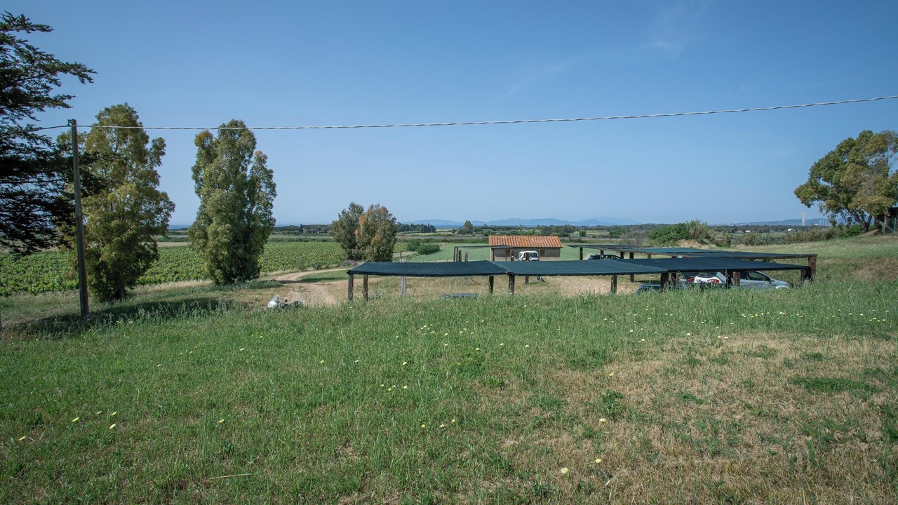 Photo of Outdoor in Riotorto