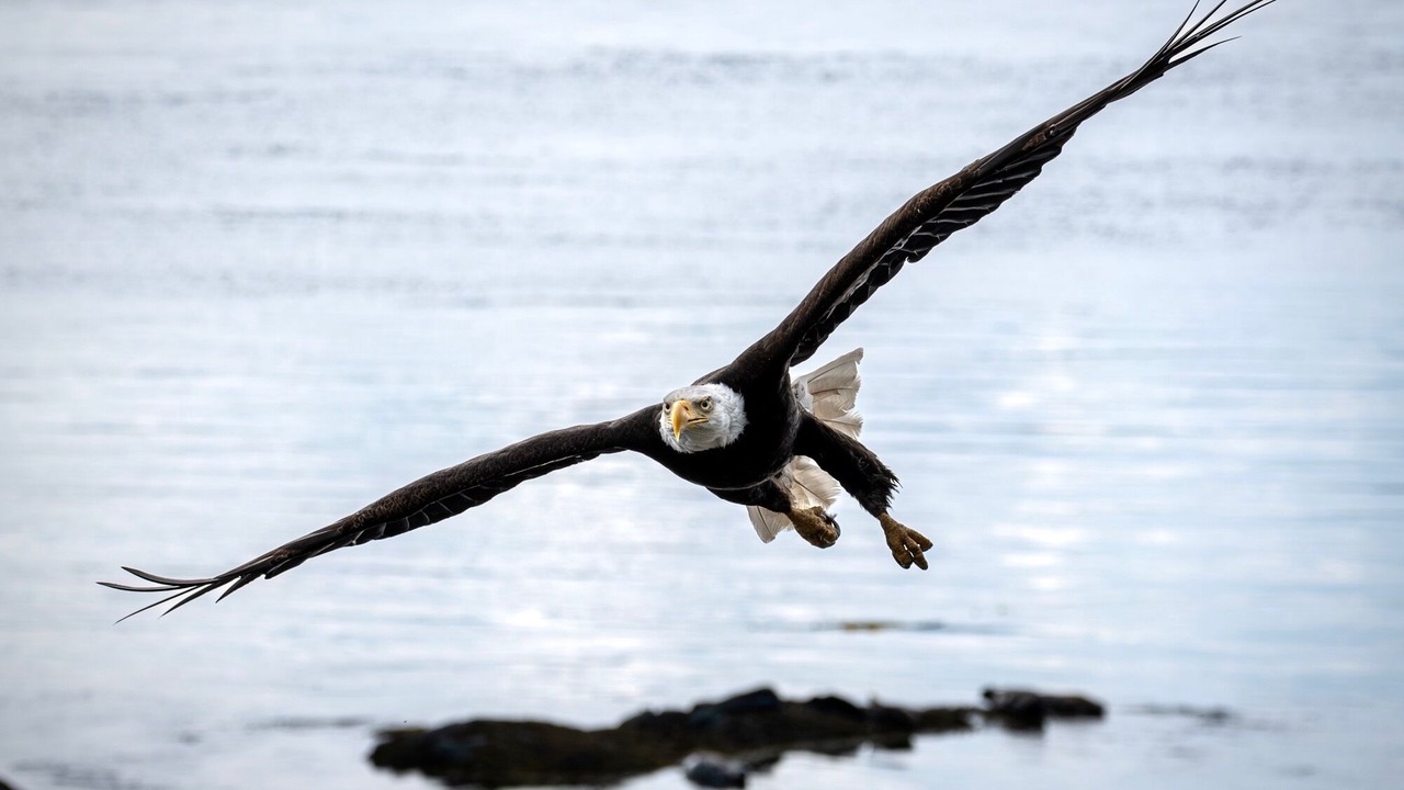 Photo of Others in Quadra Island