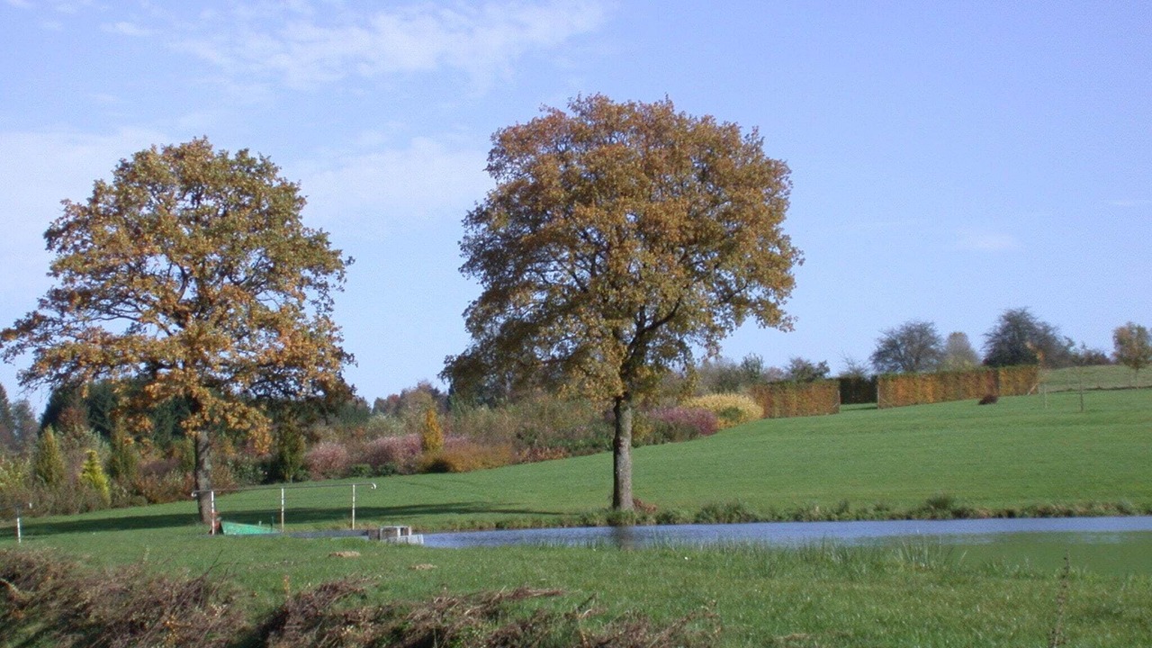 Photo of Others in Florenville