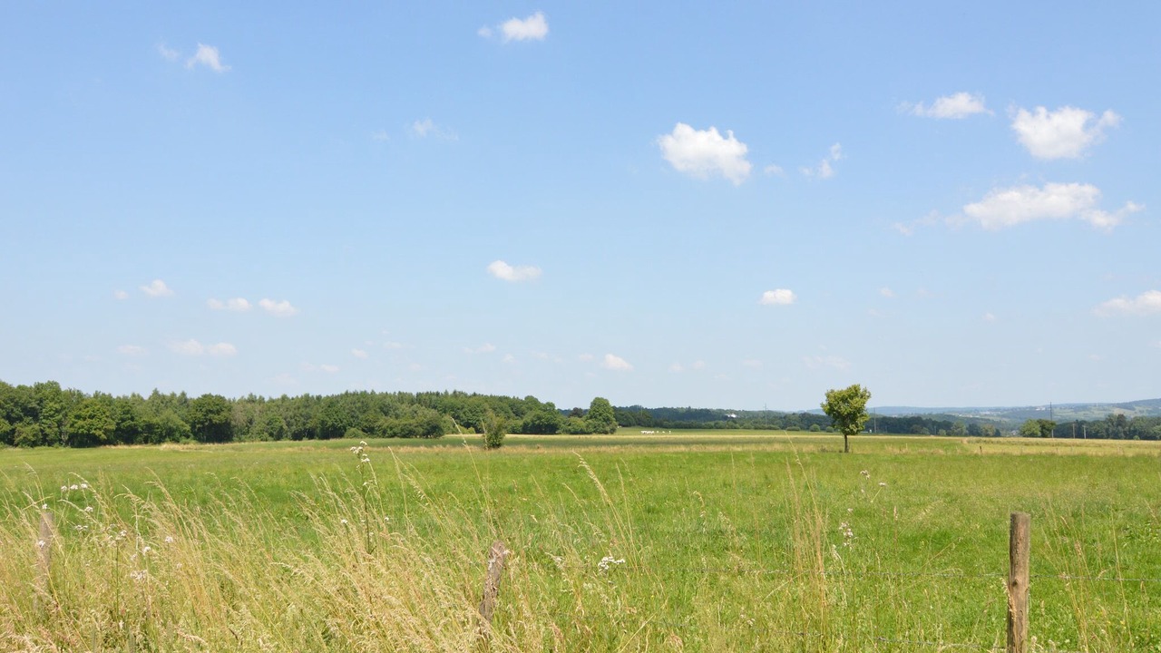 Photo of Others in Florenville