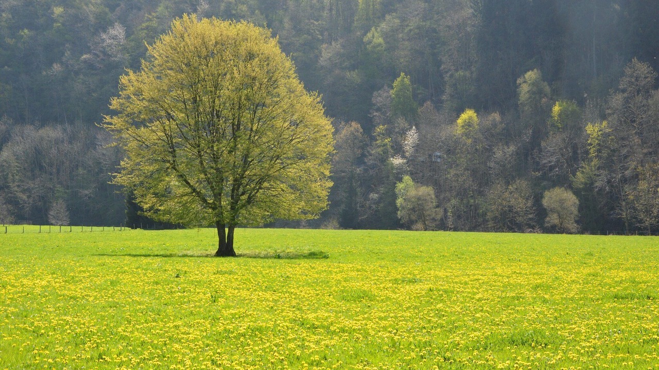 Photo of Others in Florenville