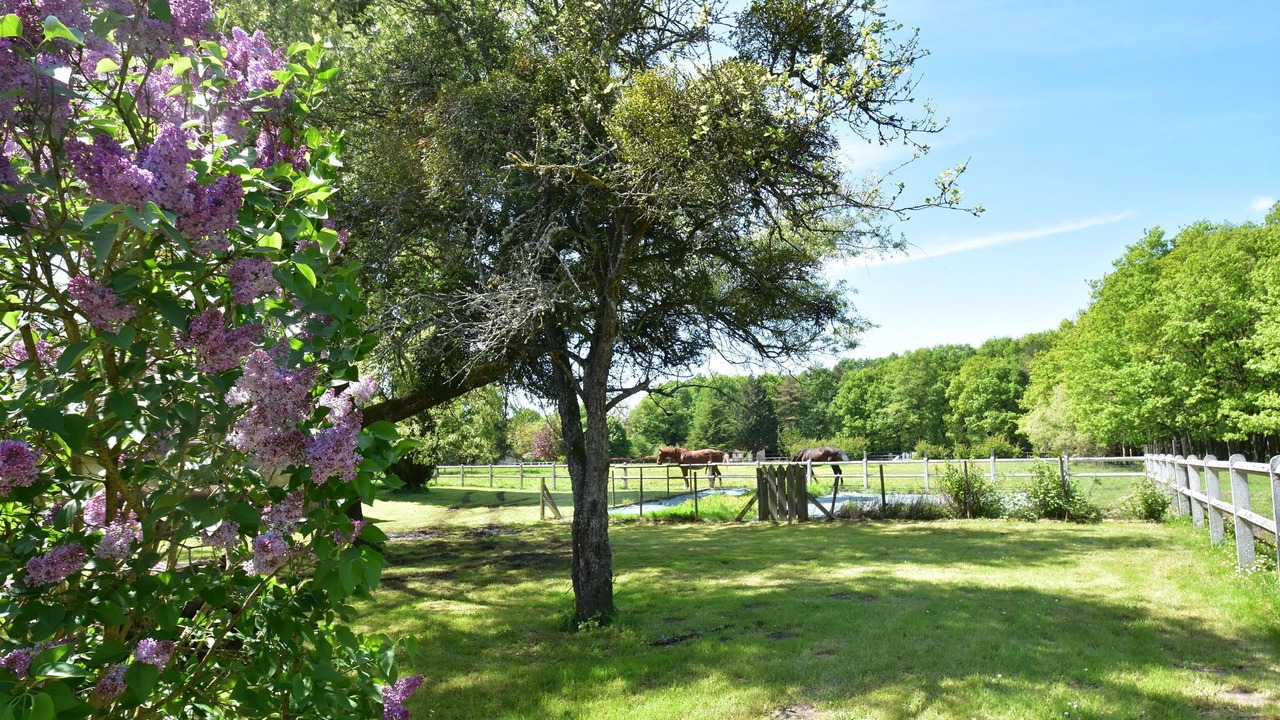 Photo of Others in Combreux