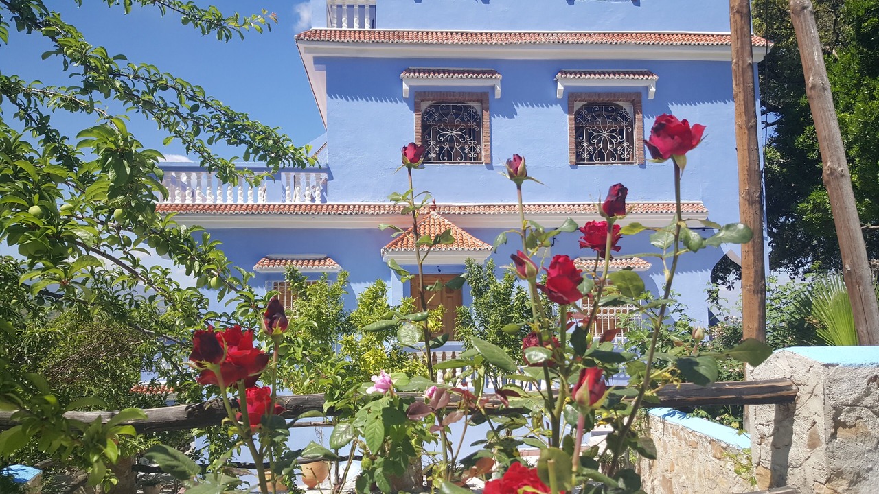 Photo of Outdoor in Medina of Chefchaouen