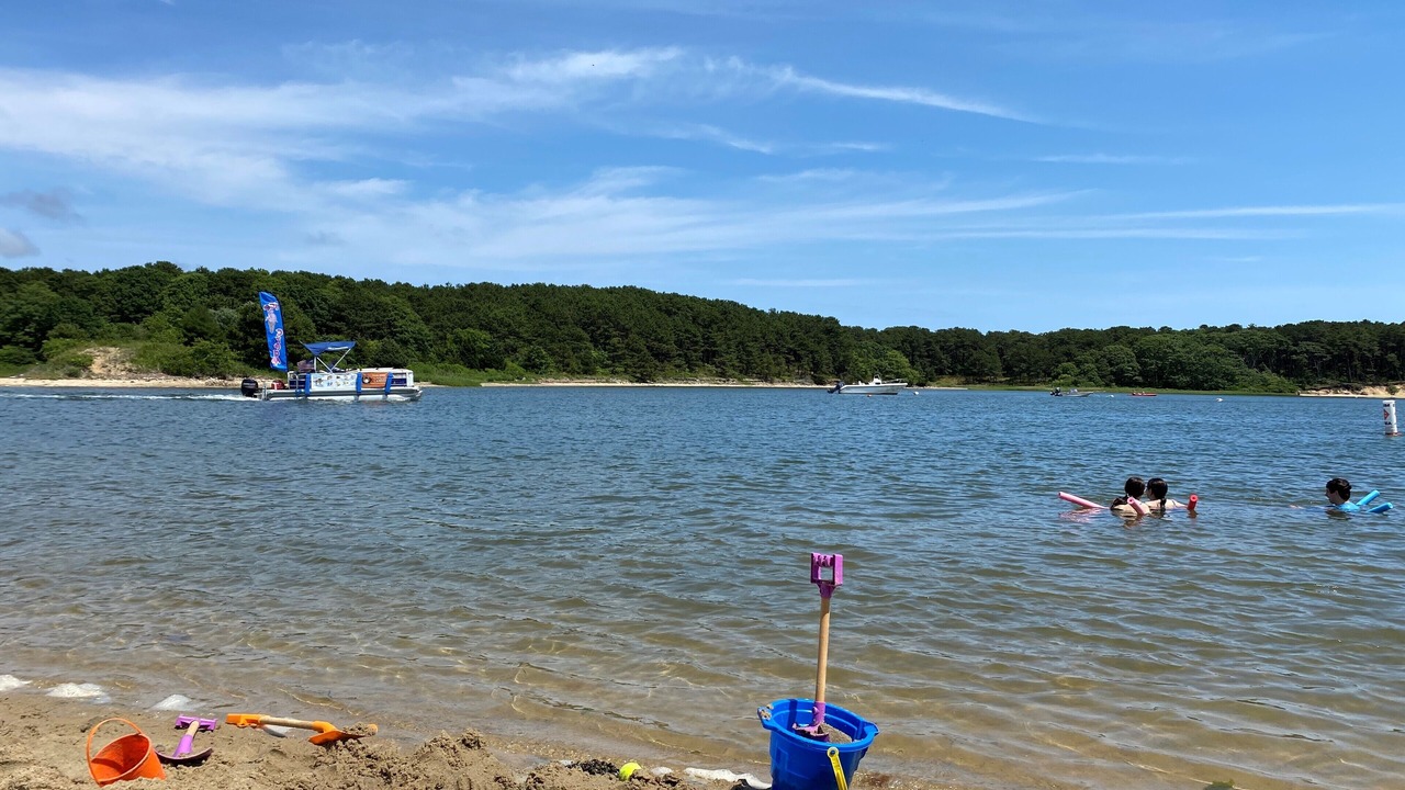 Photo of Others in East Falmouth