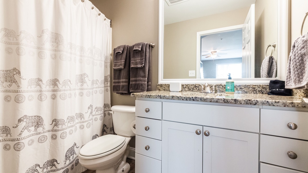 Photo of Bathroom in Greenville Downtown