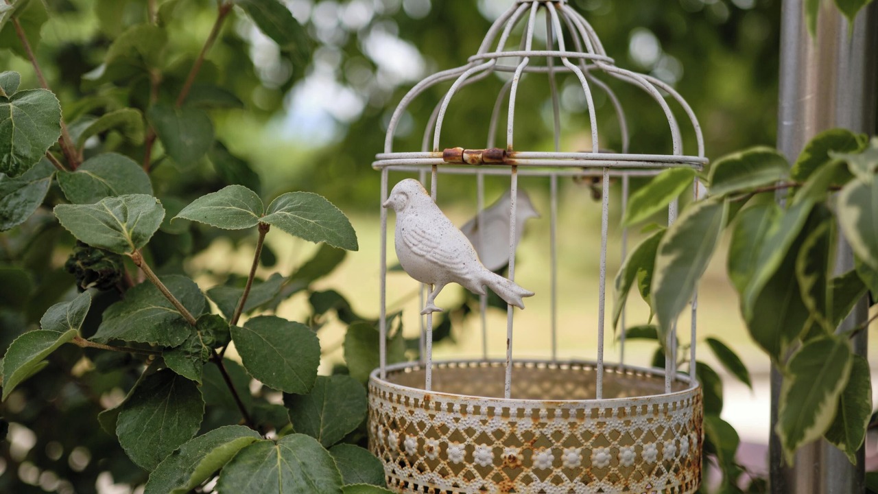 Photo of Outdoor in Saint-Hilaire-du-Rosier