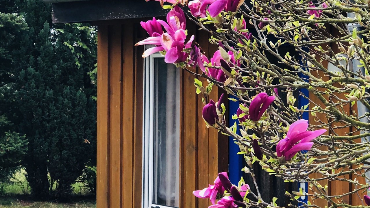 Photo of Outdoor in Rehburg-Loccum