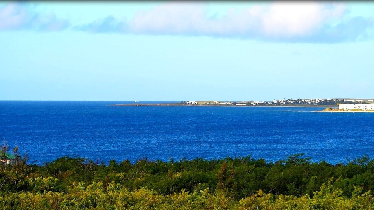 Photo of Others in Blowing Point