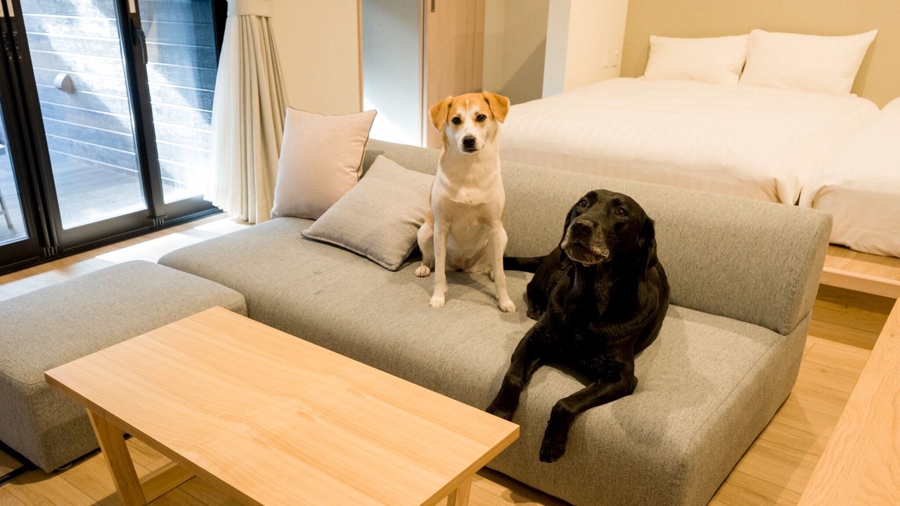 Photo of Bedroom in Nikko