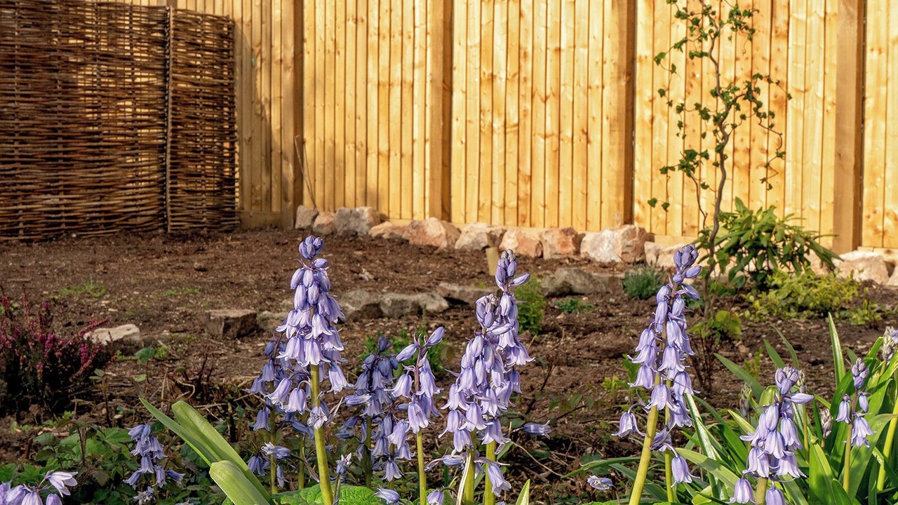 Photo of Outdoor in Caldicot