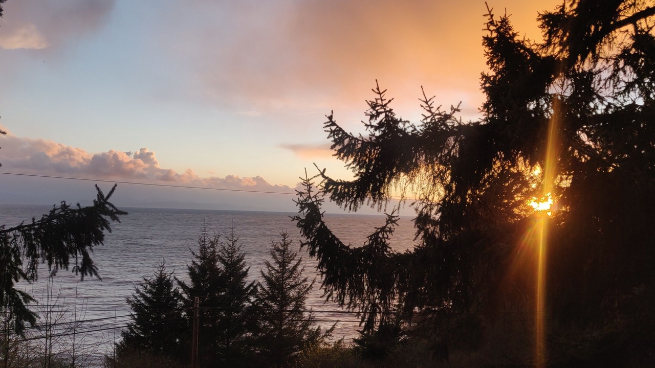Photo of Others in Otter Point