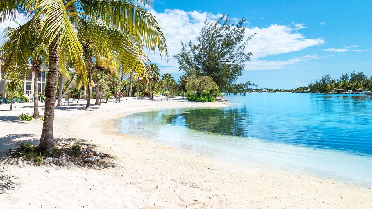 Photo of Others in Rum Point