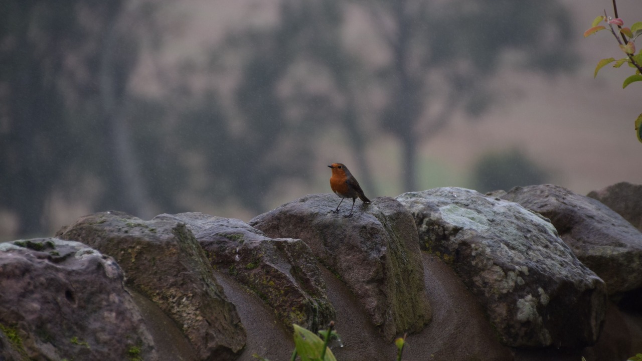 Photo of Outdoor in Berwick-upon-Tweed