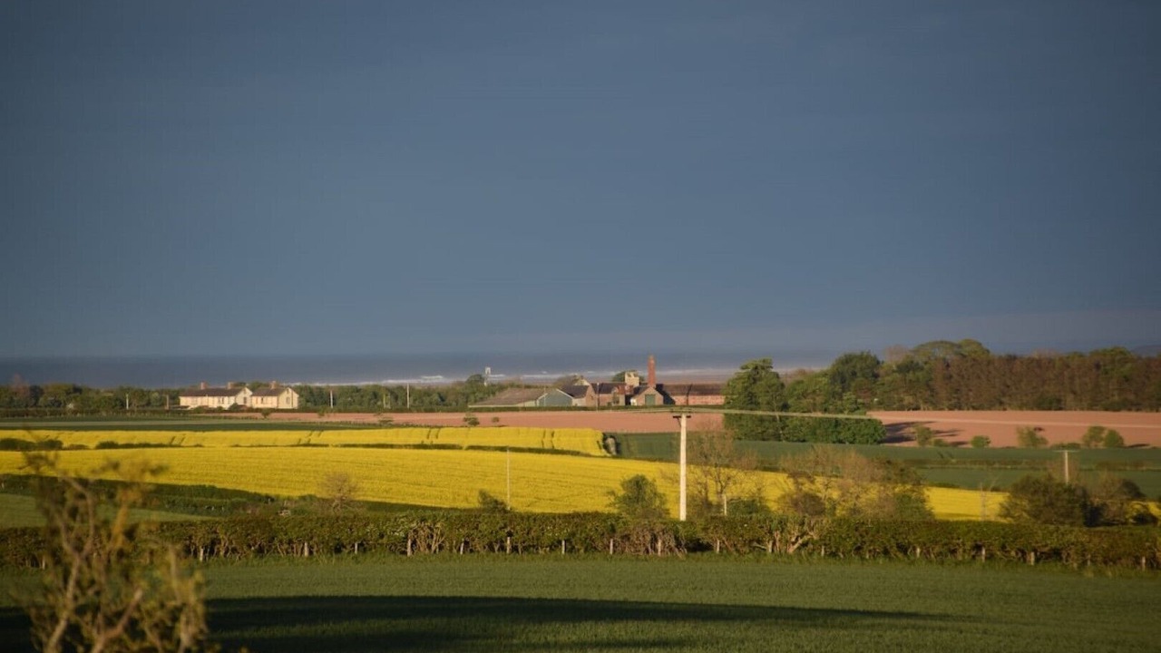 Photo of Others in Berwick-upon-Tweed