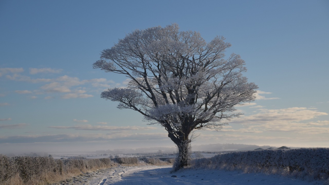 Photo of Others in Berwick-upon-Tweed