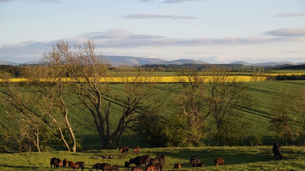 Photo of Others in Berwick-upon-Tweed
