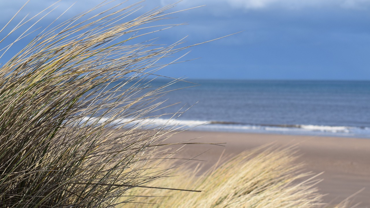 Photo of Others in Berwick-upon-Tweed