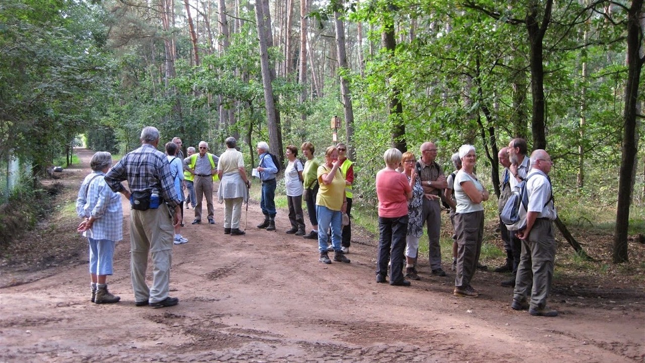 Photo of Others in Wechelderzande