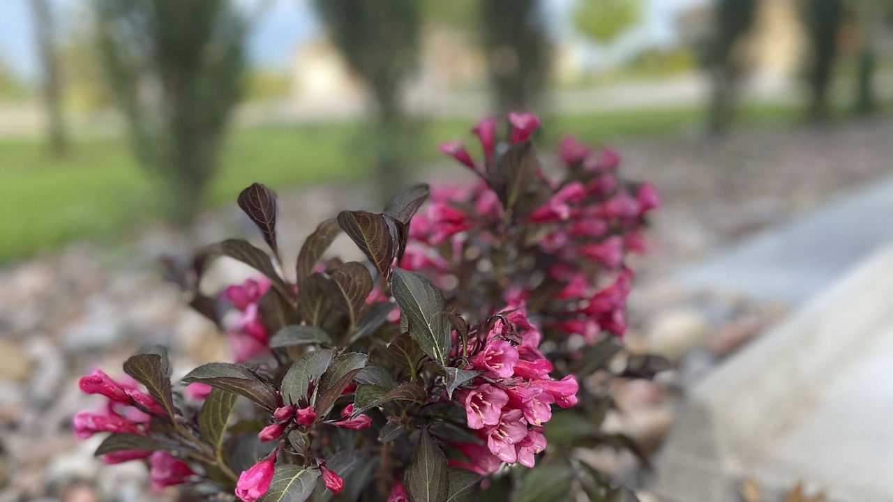 Photo of Outdoor in Newton
