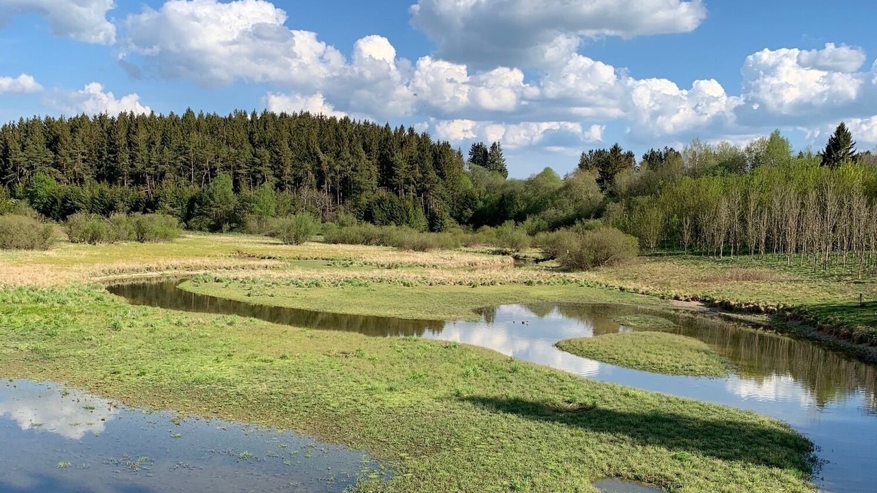 Photo of Others in Wirtzfeld