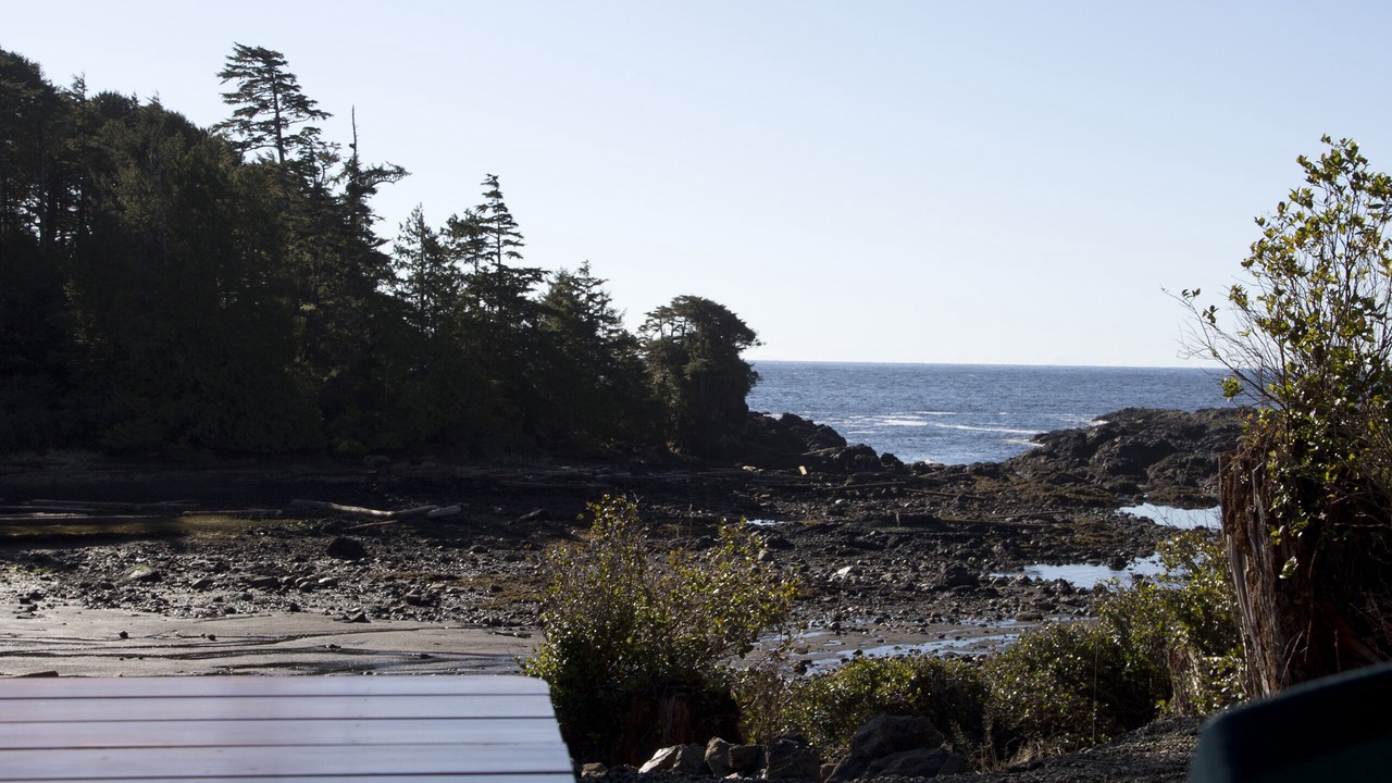Photo of Outdoor in Ucluelet