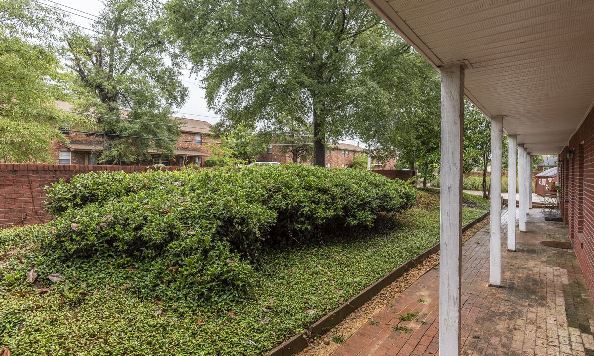 Photo of Outdoor in Starkville