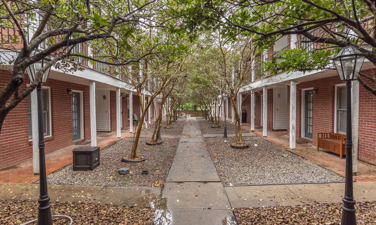 Photo of Outdoor in Starkville