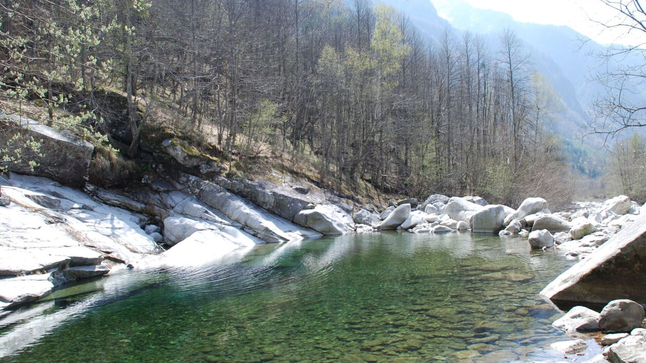 Photo of Others in Lavizzara