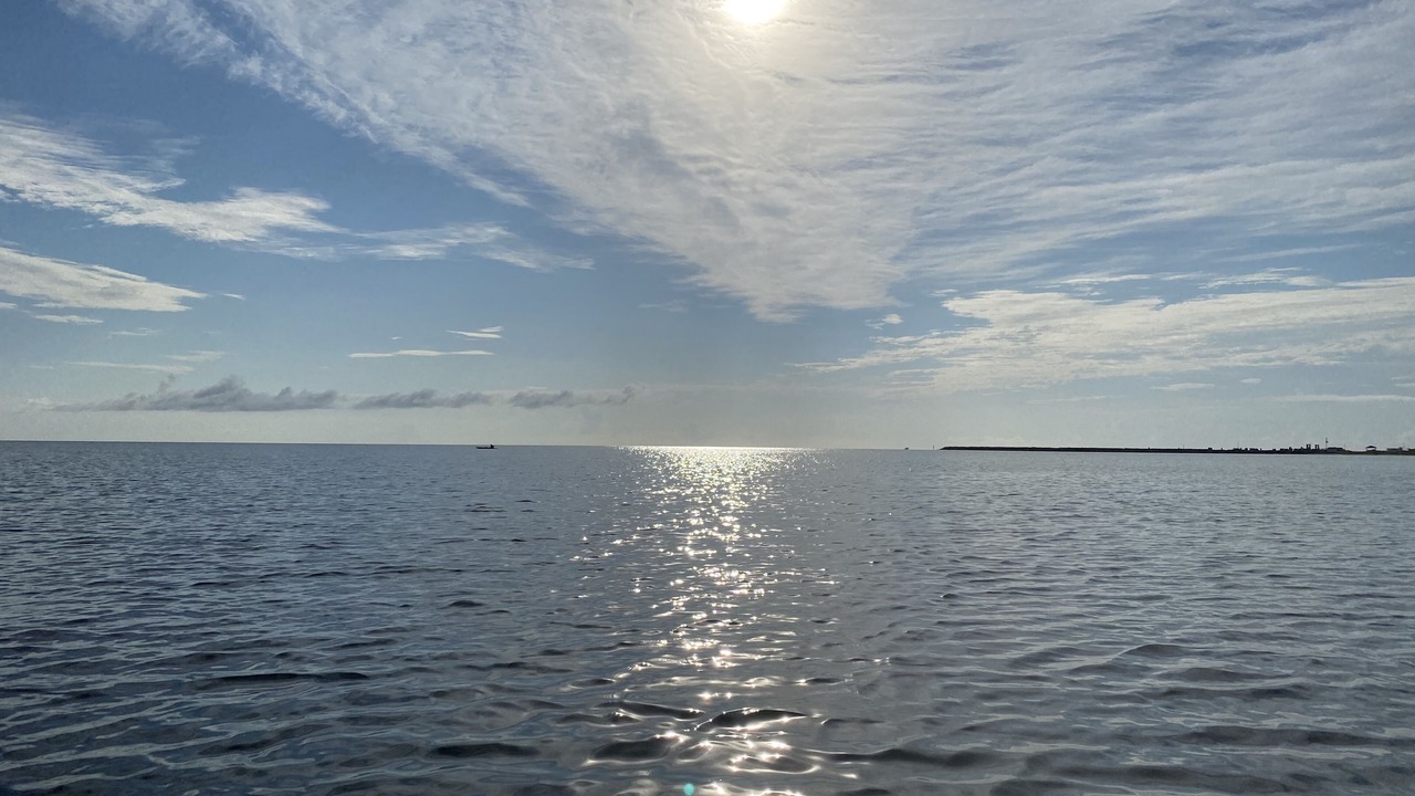 Photo of Others in Cedar Island