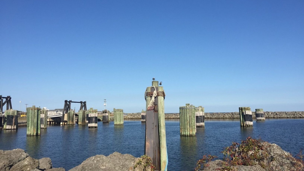 Photo of Others in Cedar Island