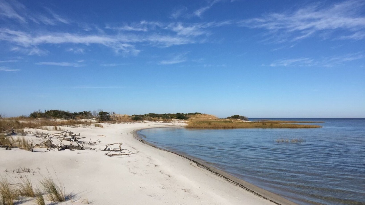 Photo of Others in Cedar Island