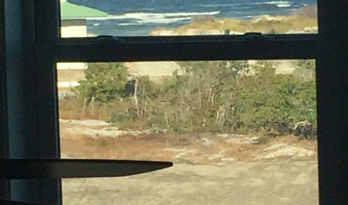 Photo of Others in Cedar Island