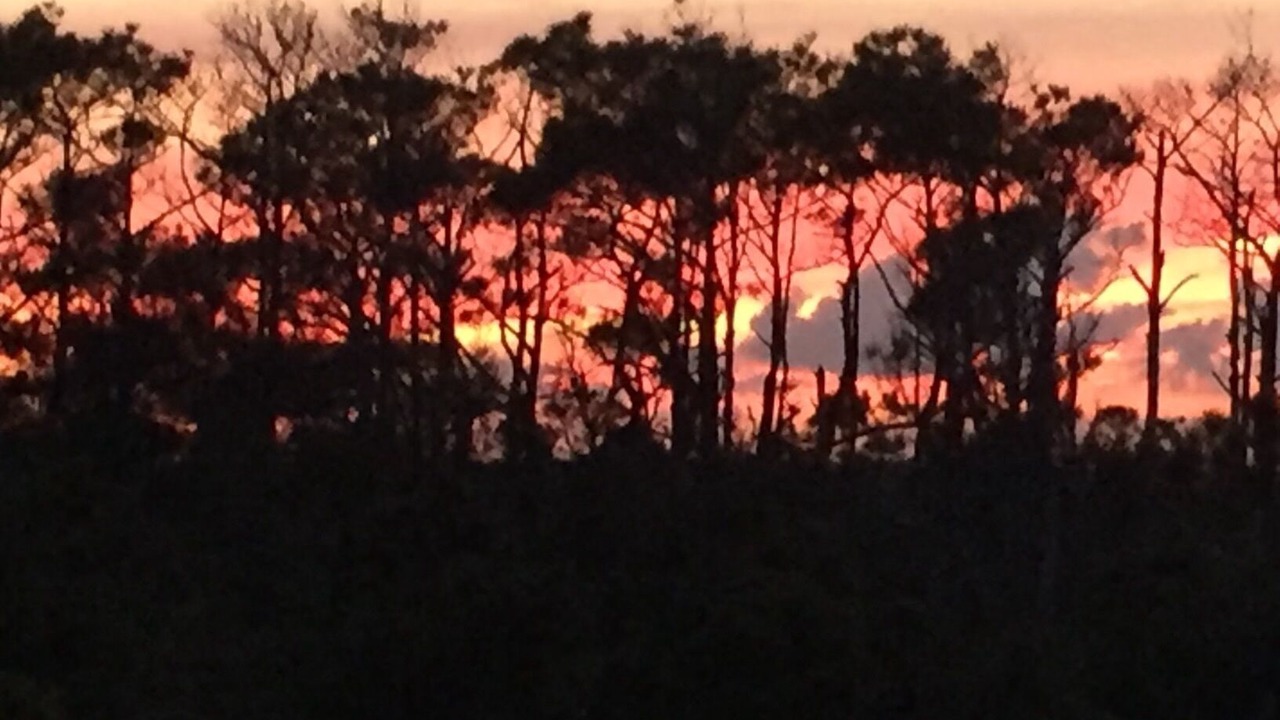 Photo of Others in Cedar Island