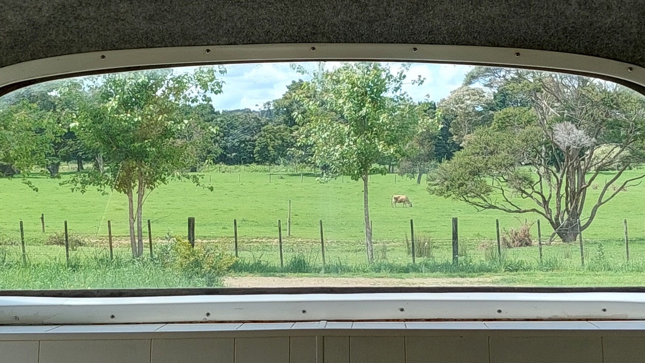Photo of Others in Northland