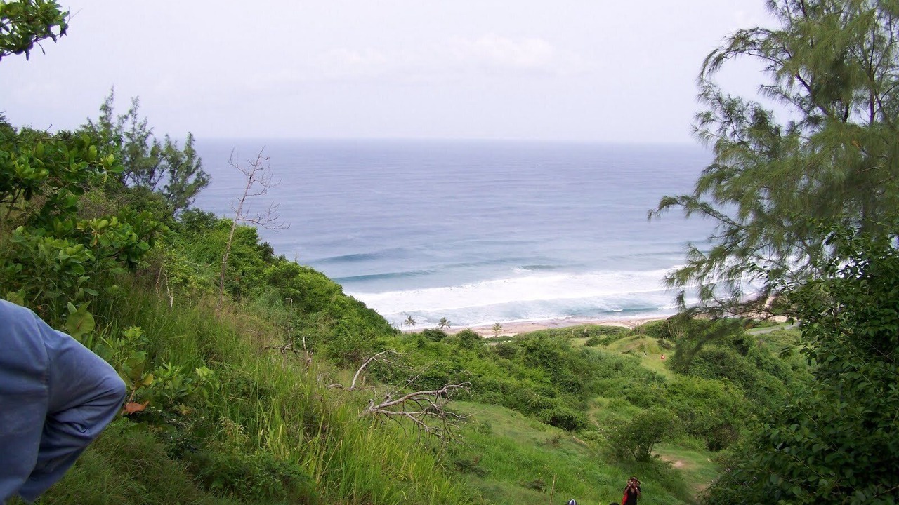Photo of Others in Fortescue