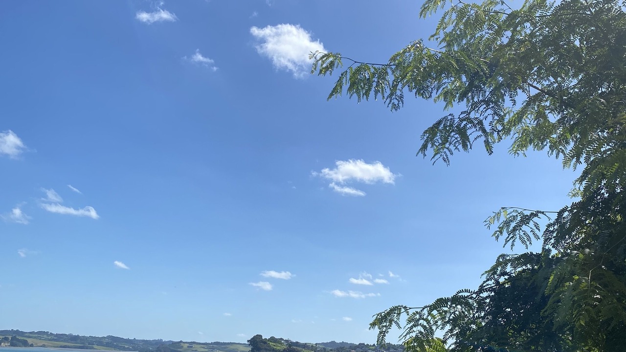 Photo of Others in Whangaparaoa