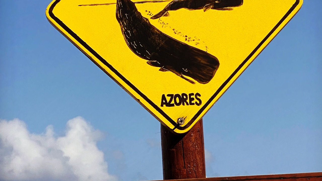 Photo of Outdoor in Nordeste
