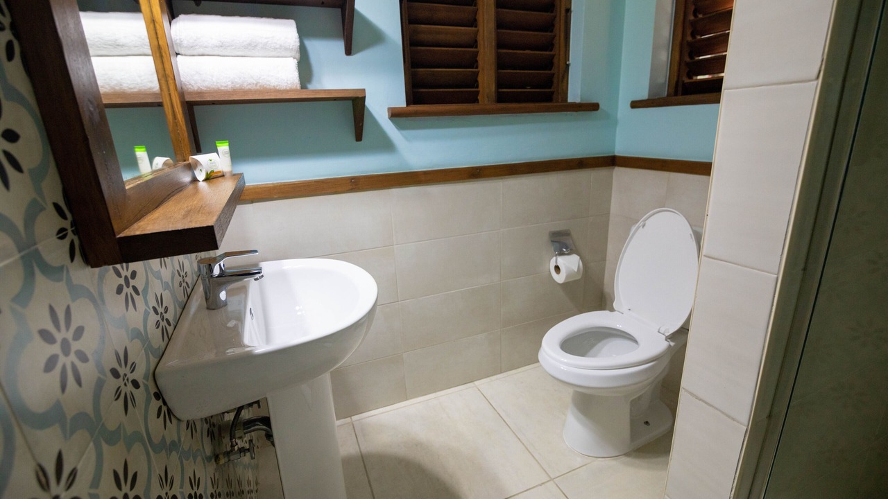 Photo of Bathroom in Oracabessa