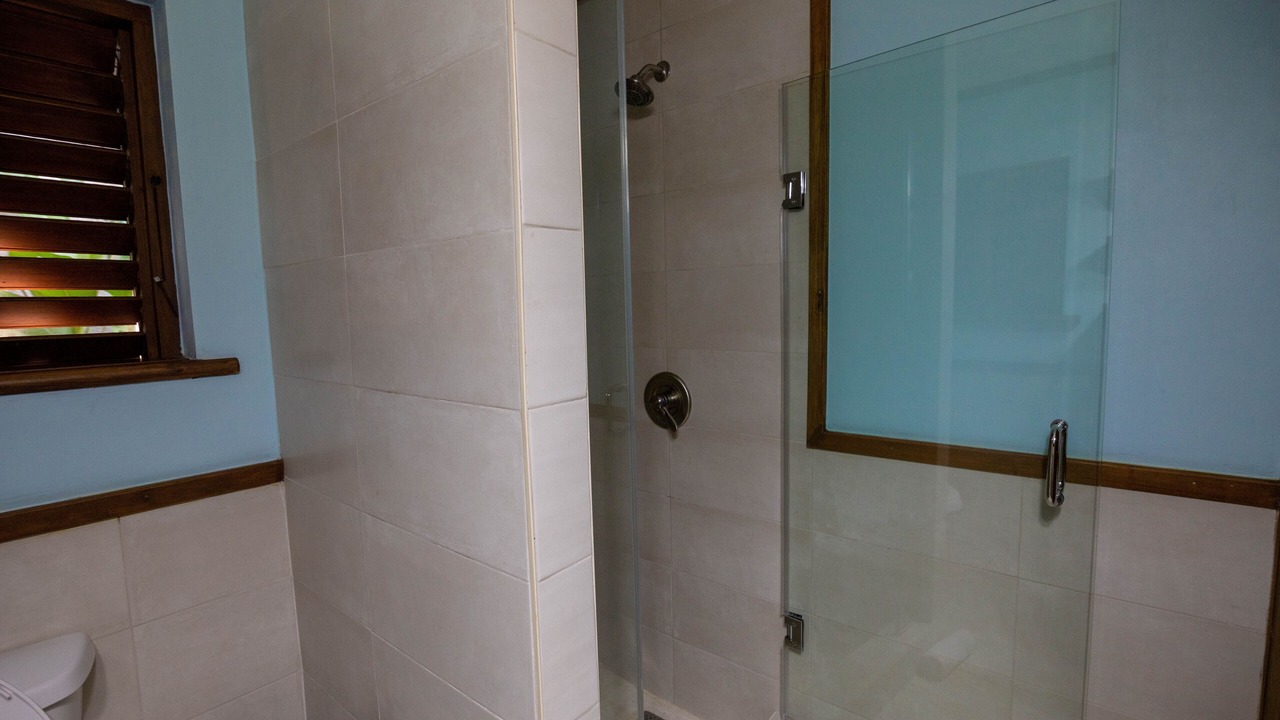 Photo of Bathroom in Oracabessa