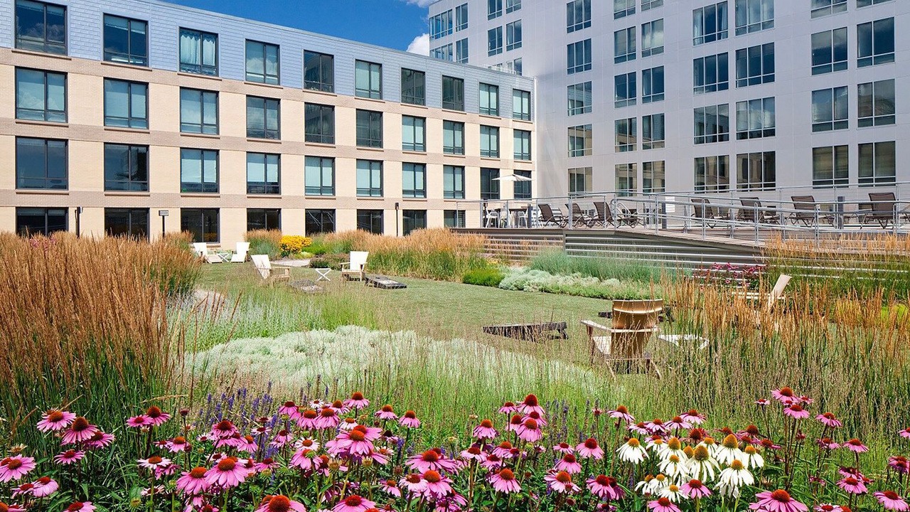Photo of Outdoor in Shawmut