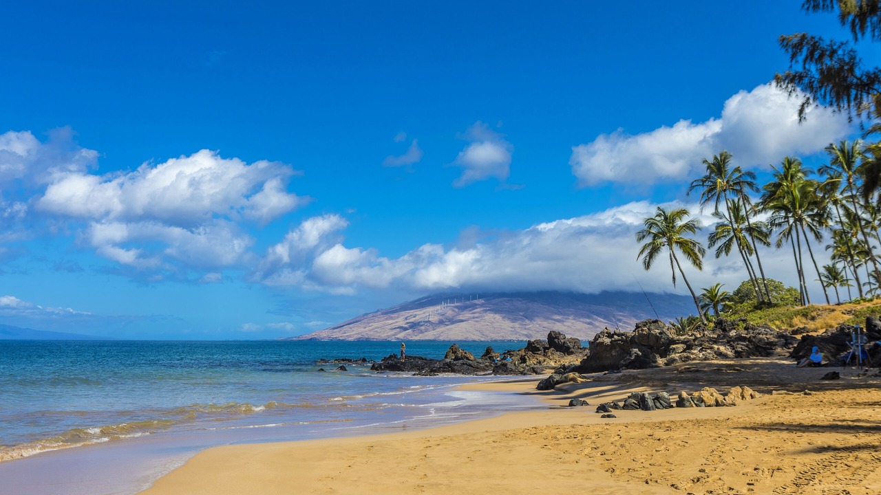 Photo of Others in Kihei