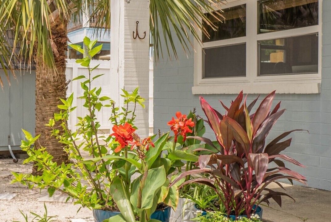 Photo of Outdoor in Villa Primera