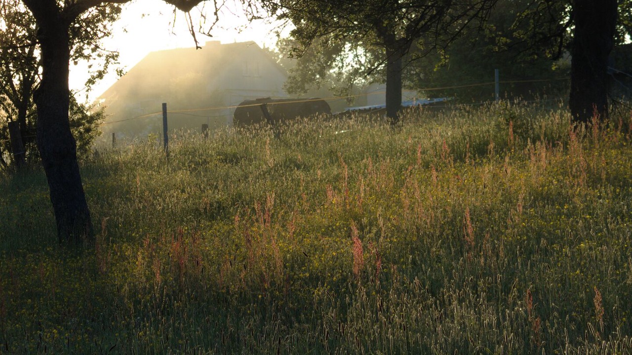 Photo of Outdoor in Wahlsburg