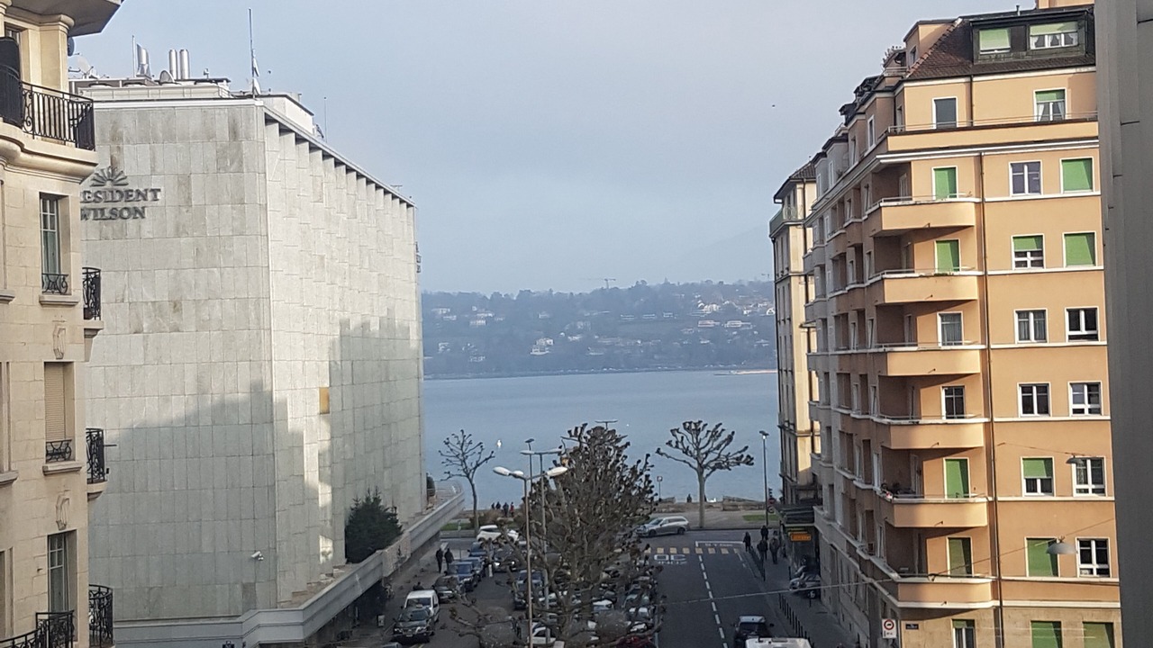 Photo of Others in Downtown Geneva