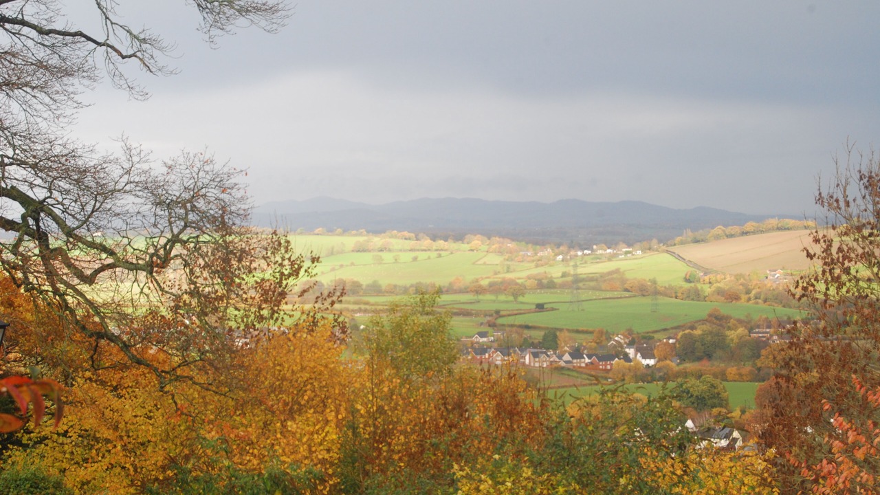 Photo of Others in Blaisdon