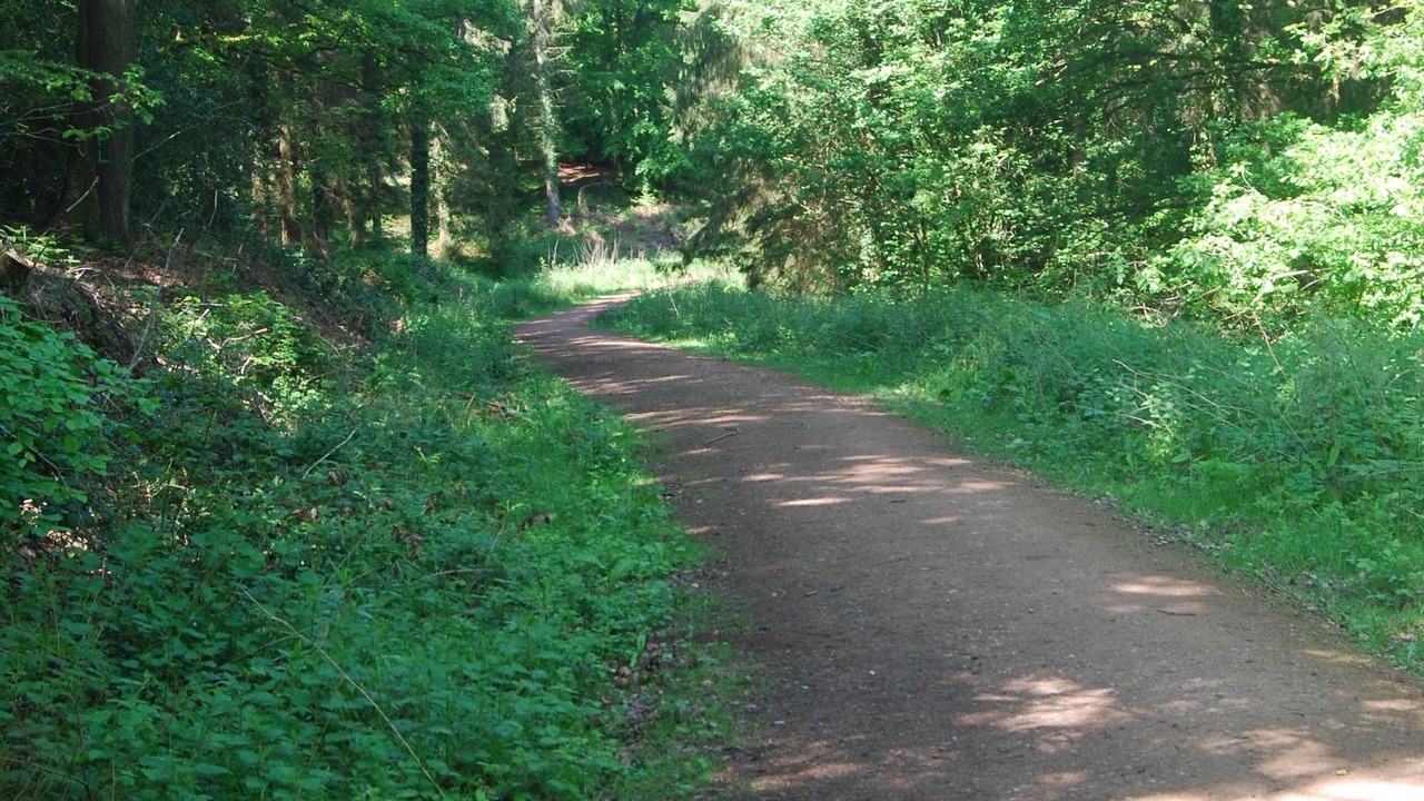 Photo of Others in Blaisdon