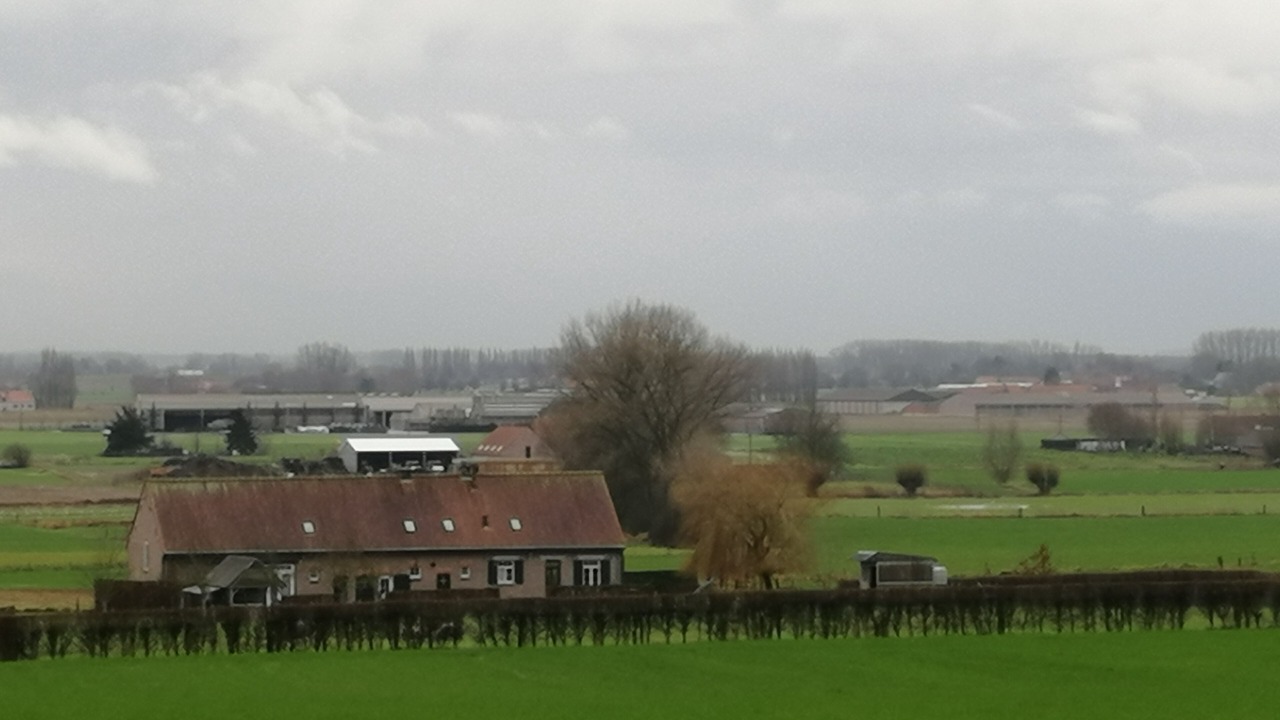 Photo of Others in Zandvoorde