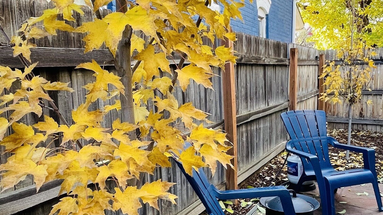 Photo of Outdoor in Sunnyside