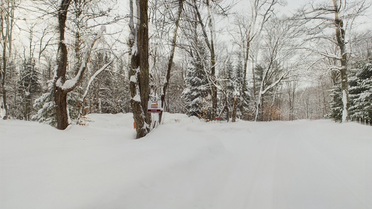 Photo of Others in Shingleton