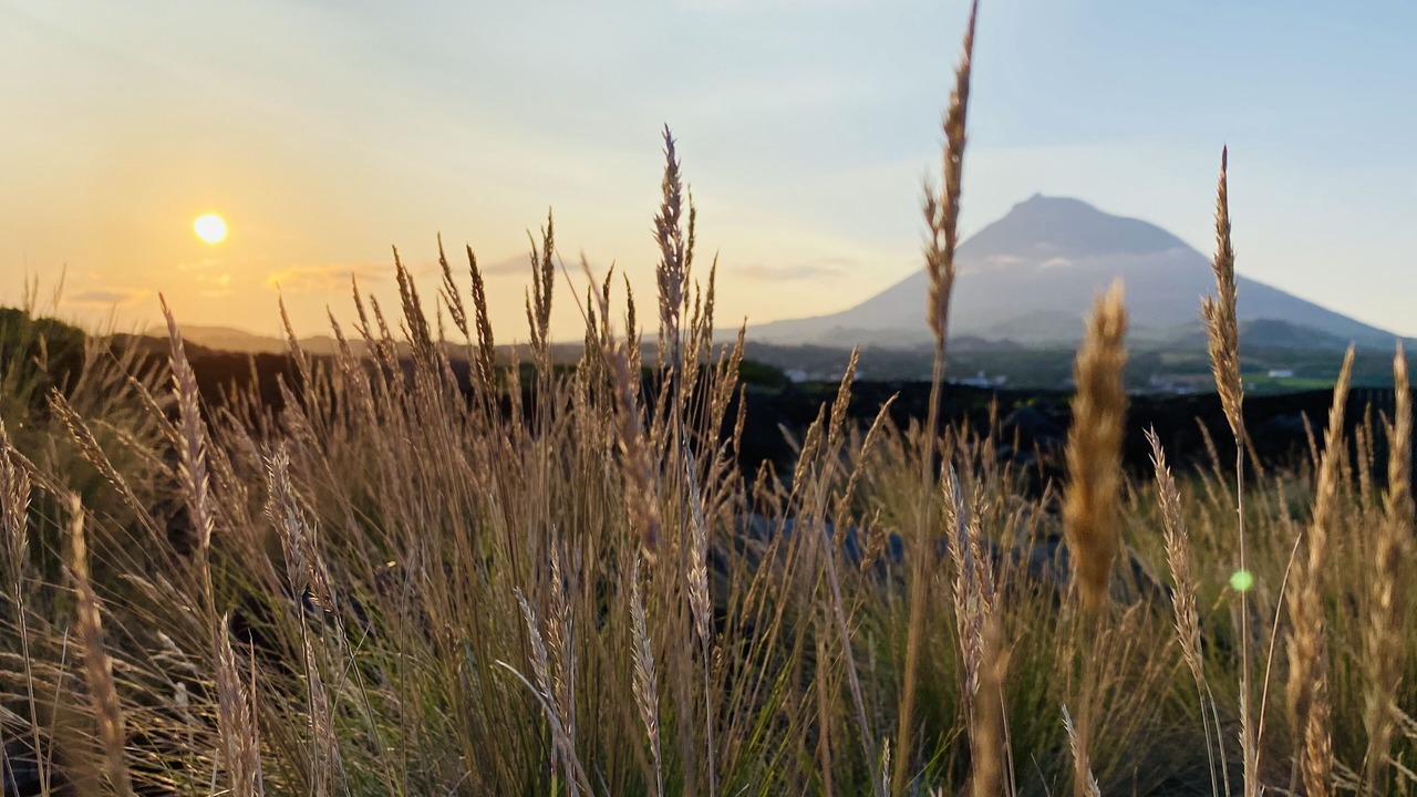 Photo of Outdoor in Pico Island